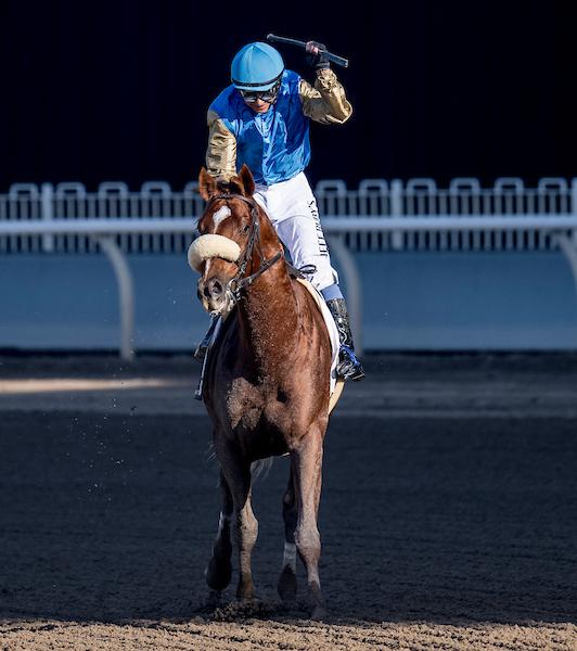 Subsanador, Pacific Classic Stakes, Del Mar, horse racing, America's Best Racing, ABR