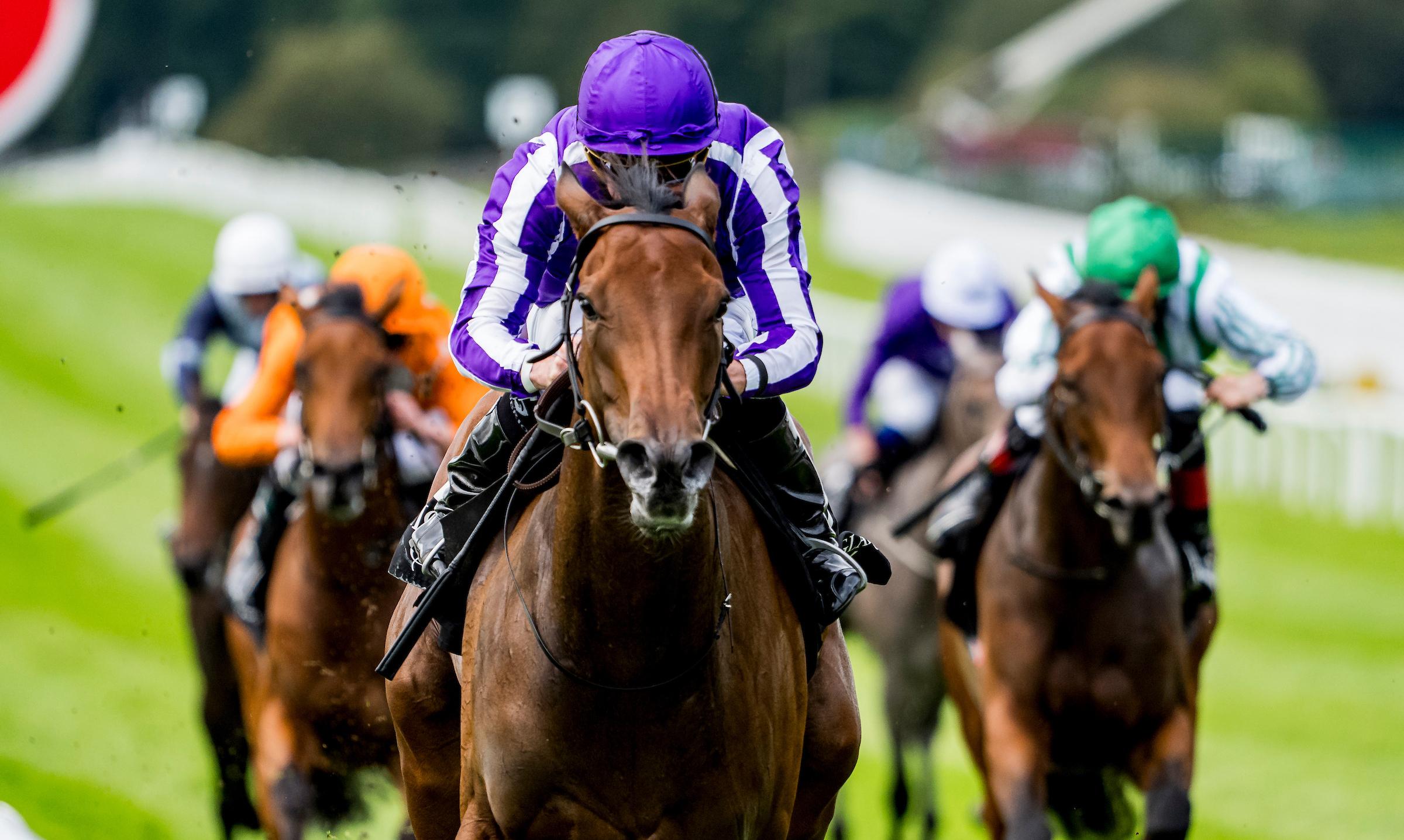 Sun Goddess, International, Keeneland, Breeders' Cup, horse racing, America's Best Racing, ABR