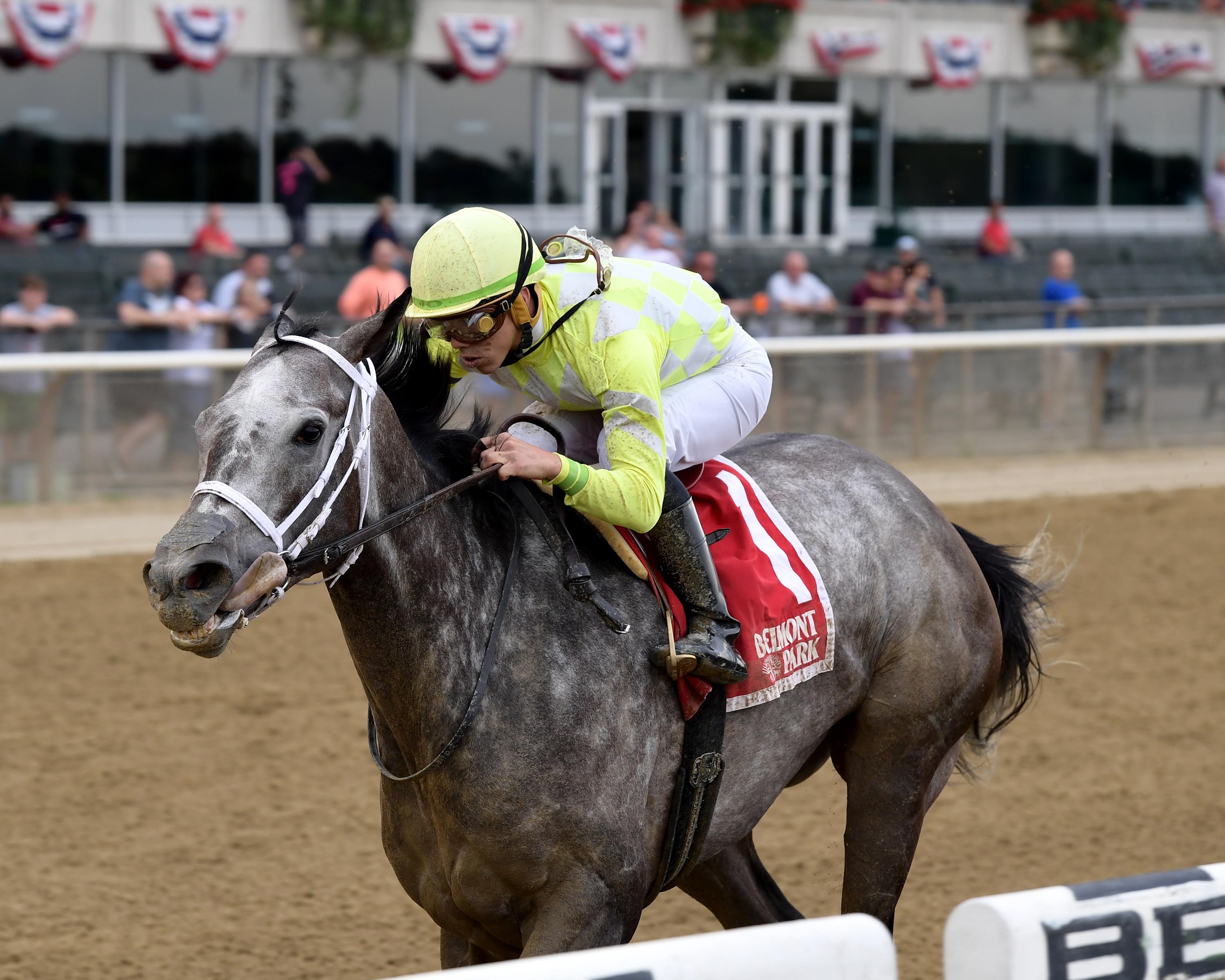 Sunny Ridge Making Money Betting Sunny Ridge in the Woodward Stakes | America's ...