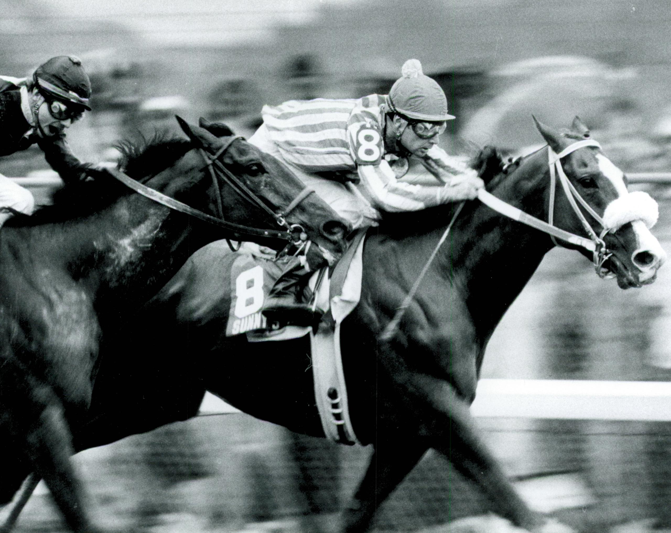 Sunny's Halo, Rebel Stakes, Oaklawn Park, America's Best Racing, ABR, horse racing Sunny's Halo, Rebel Stakes, Oaklawn Park, America's Best Racing, ABR, horse racing