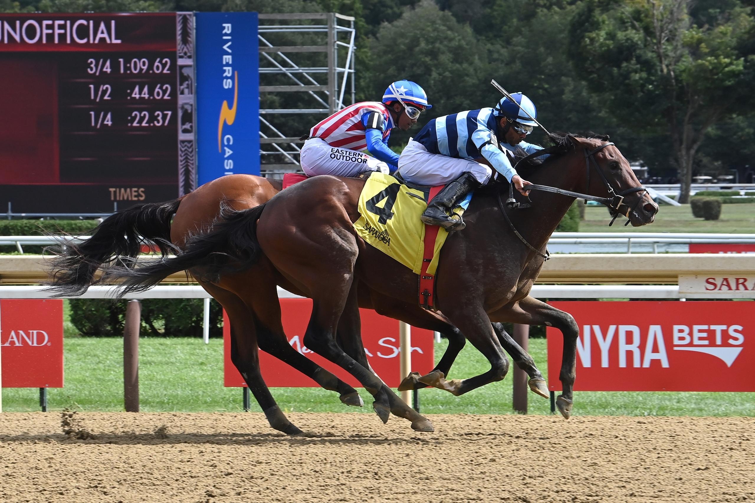 Talkin, Remsen Stakes, Aqueduct, America's Best Racing, horse racing, ABR
