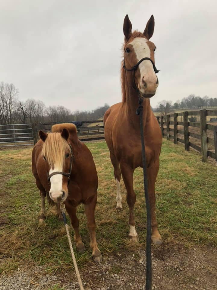 Thalia and Flash