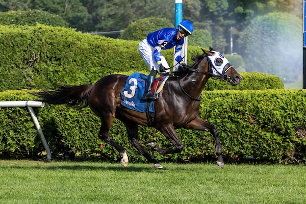 Think Big, Fourstardave, Saratoga Race Course, Breeders' Cup Mile, America's Best Racing, horse racing, ABR
