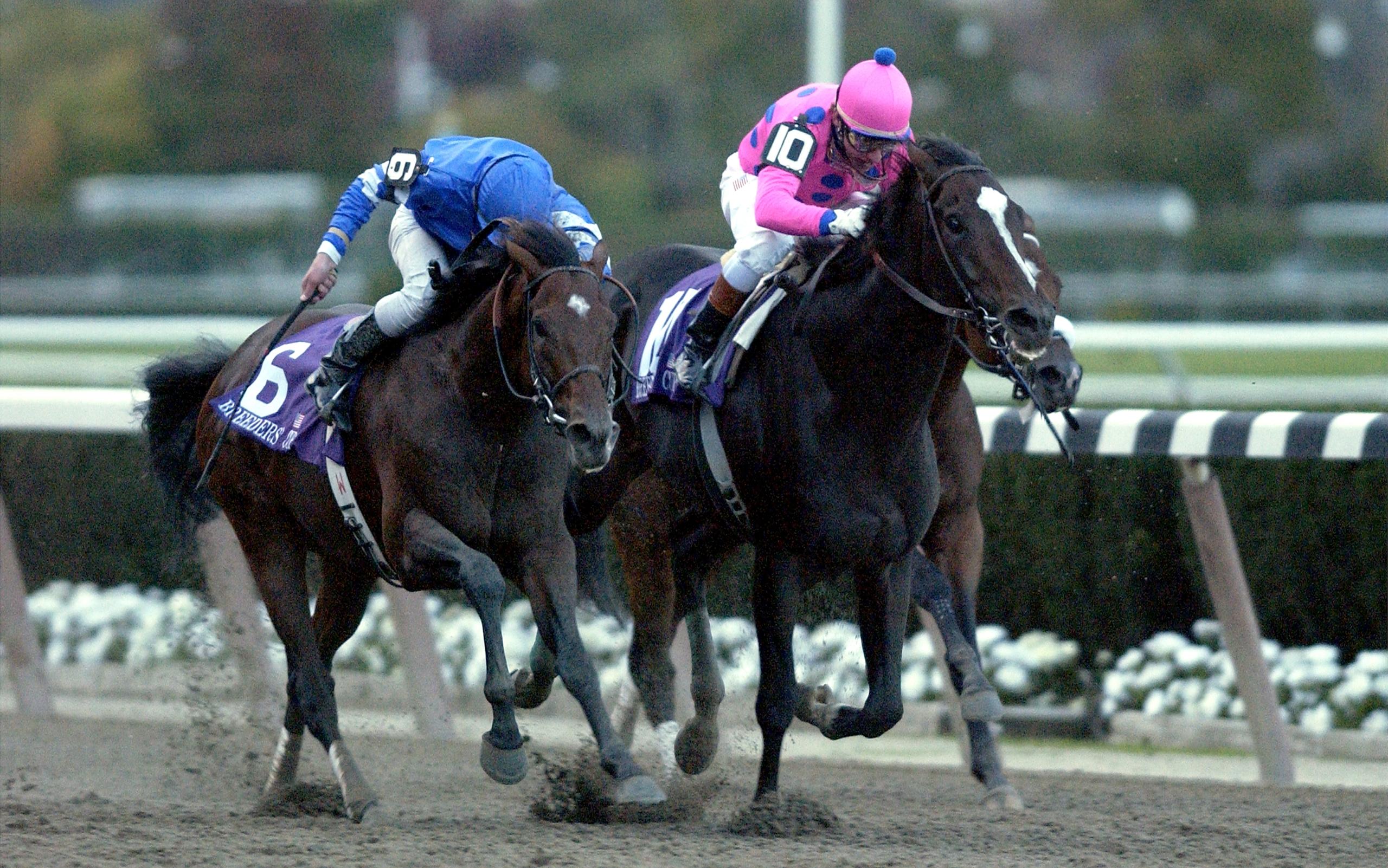 Tiznow, Keeneland, Breeders' Cup Classic, horse racing, America's Best Racing, ABR Tiznow, Keeneland, Breeders' Cup Classic, horse racing, America's Best Racing, ABR