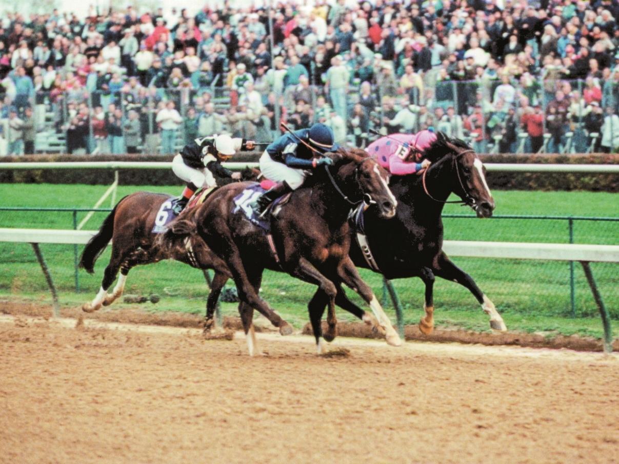 Tiznow, Giant's Causeway, 2000 Breeders' Cup Classic