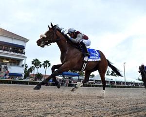 Coglianese Photos, Itsmyluckyday, Holy Bull, America's Best Racing, ABR, horse racing