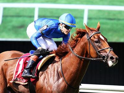 Tom's Magic, King's Plate, Woodbine, America's Best Racing, horse racing, ABR 
