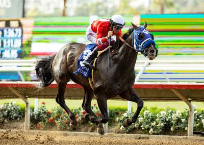 Dr. Venkman, BENOIT, Pacific Classic, Del Mar, Breeders' Cup Classic