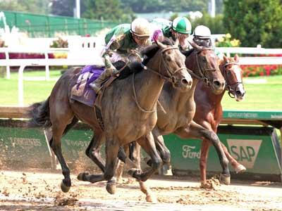 Very Connected, Gun Runner Stakes, Fair Grounds, America's Best Racing, horse racing, ABR Very Connected, Gun Runner Stakes, Fair Grounds, America's Best Racing, horse racing, ABR