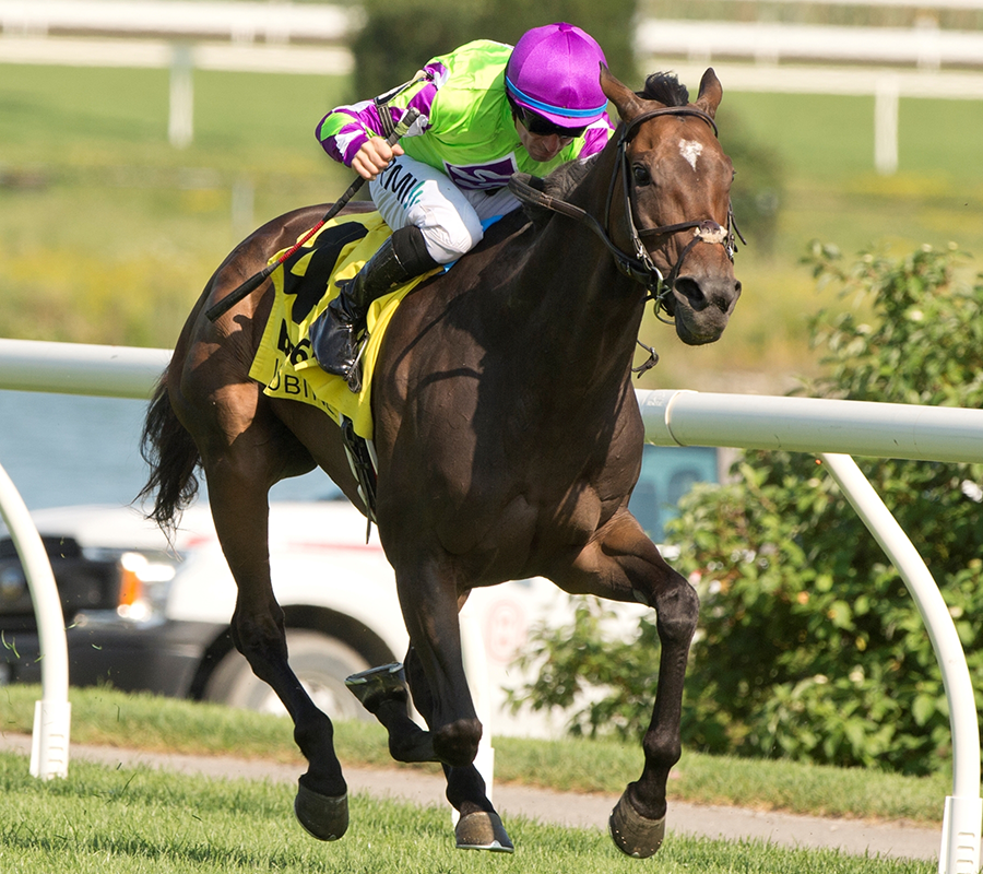 Vina Arana, Turf Champions Day, Woodbine Mile, Woodbine, horse racing, America's Best Racing, ABR Vina Arana, Turf Champions Day, Woodbine Mile, Woodbine, horse racing, America's Best Racing, ABR