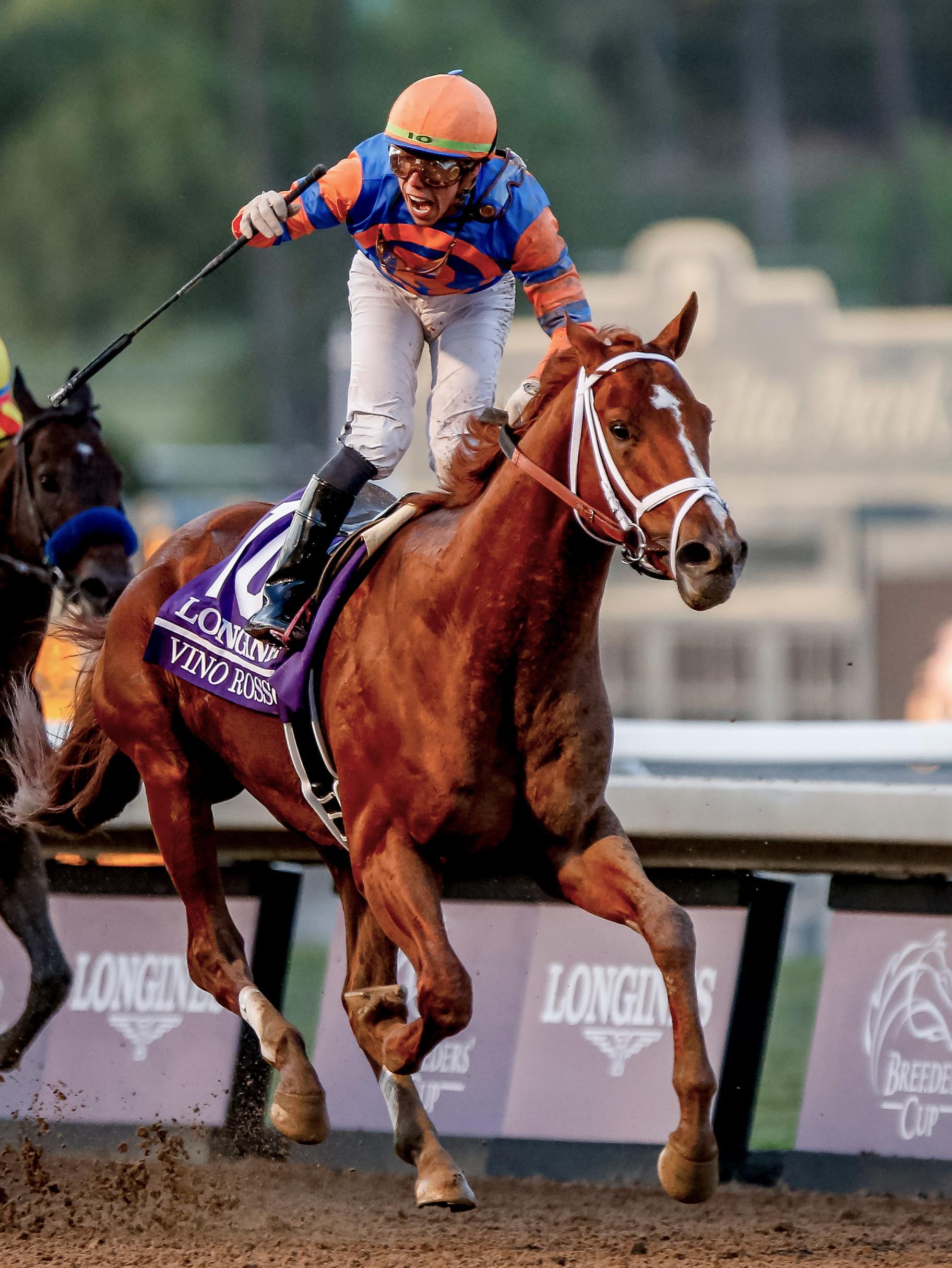 Irad Ortiz Jr. wins the Breeders' Cup Classic aboard Vino Rosso.