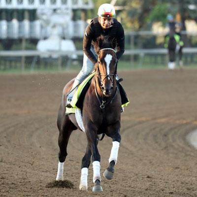 Chief Wallabee, Triple Crown, Kentucky Derby, Churchill Downs, horse racing, America's Best Racing, ABR