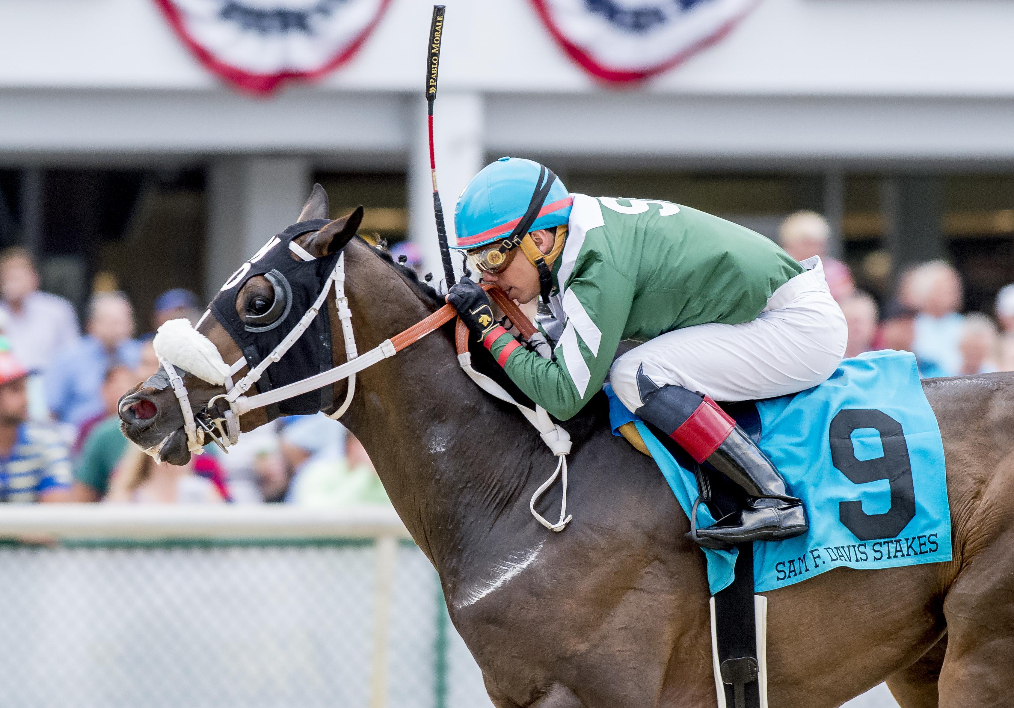 Well Defined wins the Sam F. Davis Stakes.