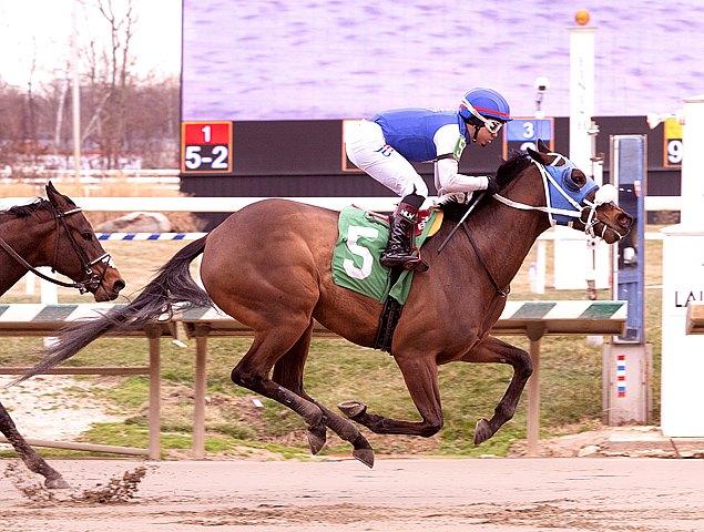 Wickeddivine, De Francis Dash, Laurel Park, horse racing, America's Best Racing, ABR
