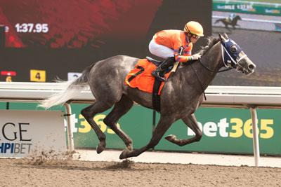 William T, King's Plate, Woodbine, America's Best Racing, horse racing, ABR