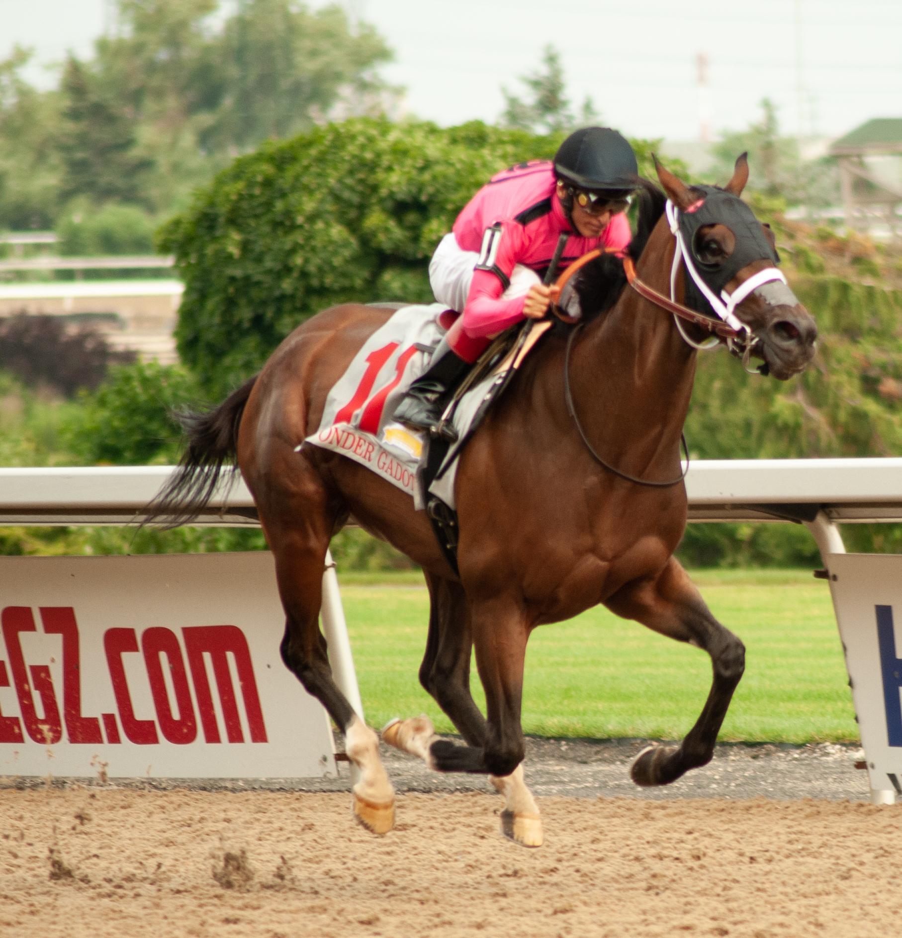 Wonder Gadot wins the 2018 Queen's Plate.