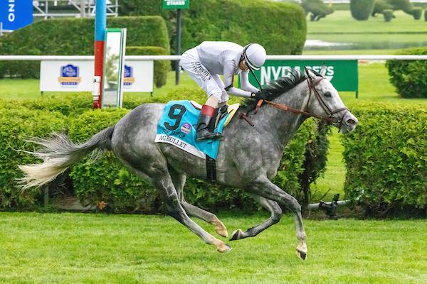 Ag Bullet, Breeders' Cup Turf Sprint, Del Mar, Jaipur Stakes, America's Best Racing, horse racing, ABR