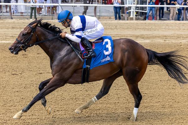 Echo Sound, Victory Ride Stakes, Saratoga Race Course, Breeders' Cup Classic, horse racing, America's Best Racing, ABR
