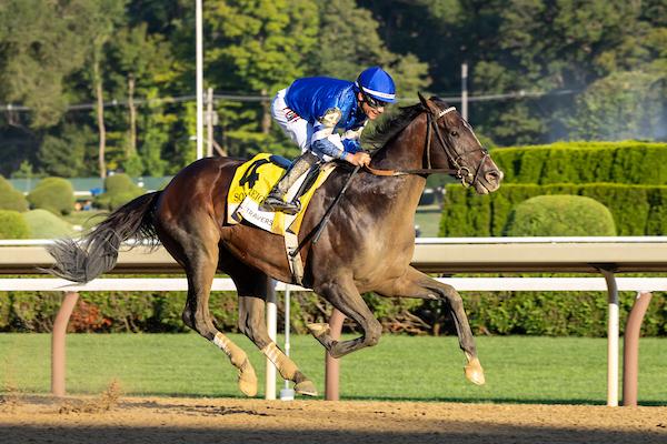 Sovereignty. 2025 Travers Stakes, Saratoga Race Course, Midsummer Derby, Bill Mott