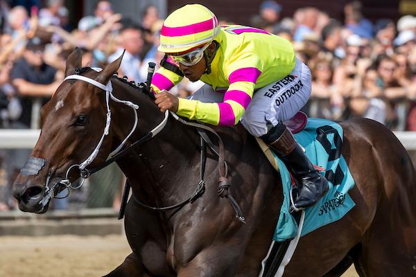 Pharocity , Saratoga Race Course, Breeders' Cup Juvenile, Kentucky Derby, Triple Crown, horse racing, America's Best Racing, ABR