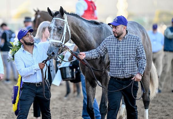 Ted Noffey, Breeders’ Cup Juvenile, Kentucky Derby, Spendthrift Farm, John Velazquez, Todd Pletcher, Into Mischief, speed figure, pedigree, horse racing, Eclipse Award, Beyer, Equibase, ABR Ted Noffey, Breeders’ Cup Juvenile, Kentucky Derby, Spendthrift Farm, John Velazquez, Todd Pletcher, Into Mischief, speed figure, pedigree, horse racing, Eclipse Award, Beyer, Equibase, ABR