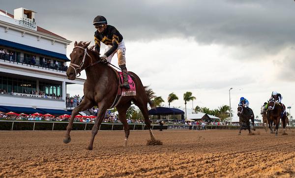 She Be Smooth, Kentucky Oaks, Churchill Downs, horse racing, America's Best Racing, ABR