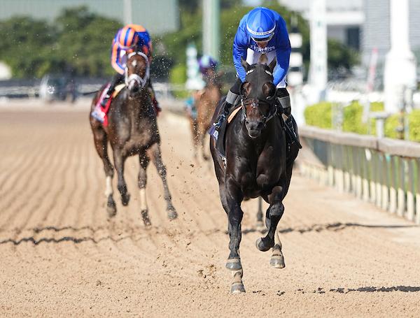 Fred W. Hooper, Knightsbridge, Gulfstream Park, America's Best Racing, ABR, horse racing