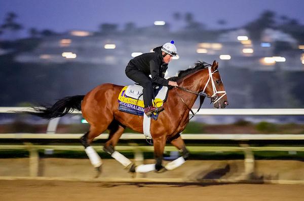 Journalism, Preakness Stakes, Pimlico, Haskell Stakes, America's Best Racing, horse racing, ABR