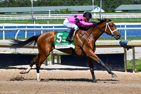 Prom Queen, Kentucky Oaks, Churchill Downs, horse racing, America's Best Racing, ABR