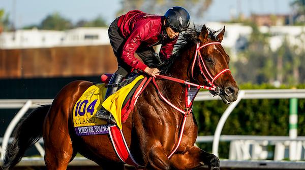 Breeders’ Cup Classic, Del Mar, Forever Young, America's Best Racing, horse racing, ABR  Breeders’ Cup Classic, Del Mar, Forever Young, America's Best Racing, horse racing, ABR