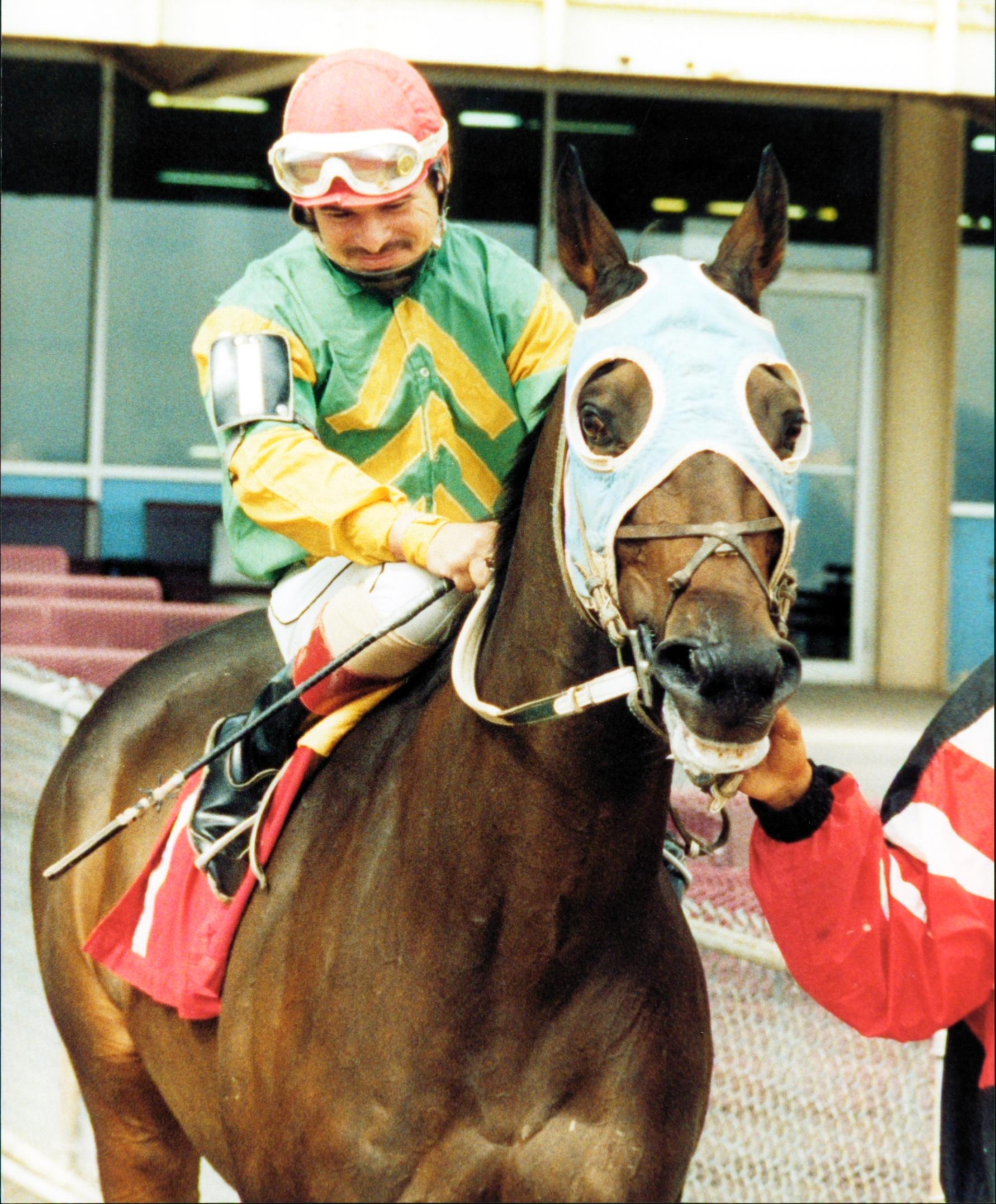 Zippy Chippy, Old Friends, horse racing, America's Best Racing, ABR Zippy Chippy, Old Friends, horse racing, America's Best Racing, ABR