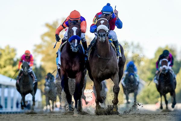 Swiss Skydiver, Preakness, Triple Crown, America's Best Racing, horse racing, ABR, Eclipse Sportswire Swiss Skydiver, Preakness, Triple Crown, America's Best Racing, horse racing, ABR, Eclipse Sportswire