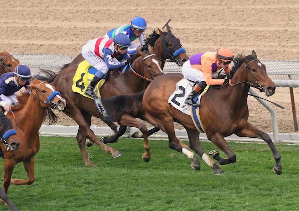 Santa Anita Park, America's Best Racing, horse racing, ABR