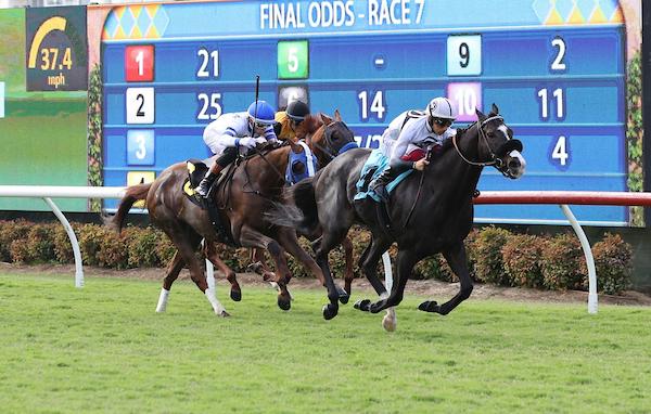 Del Mar, Summer, America's Best Racing, horse racing, ABR