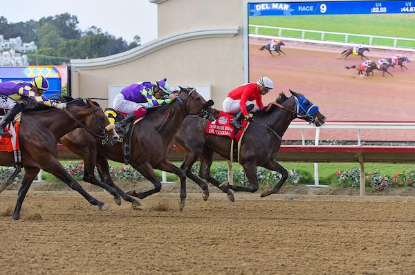 Del Mar, Summer, America's Best Racing, horse racing, ABR