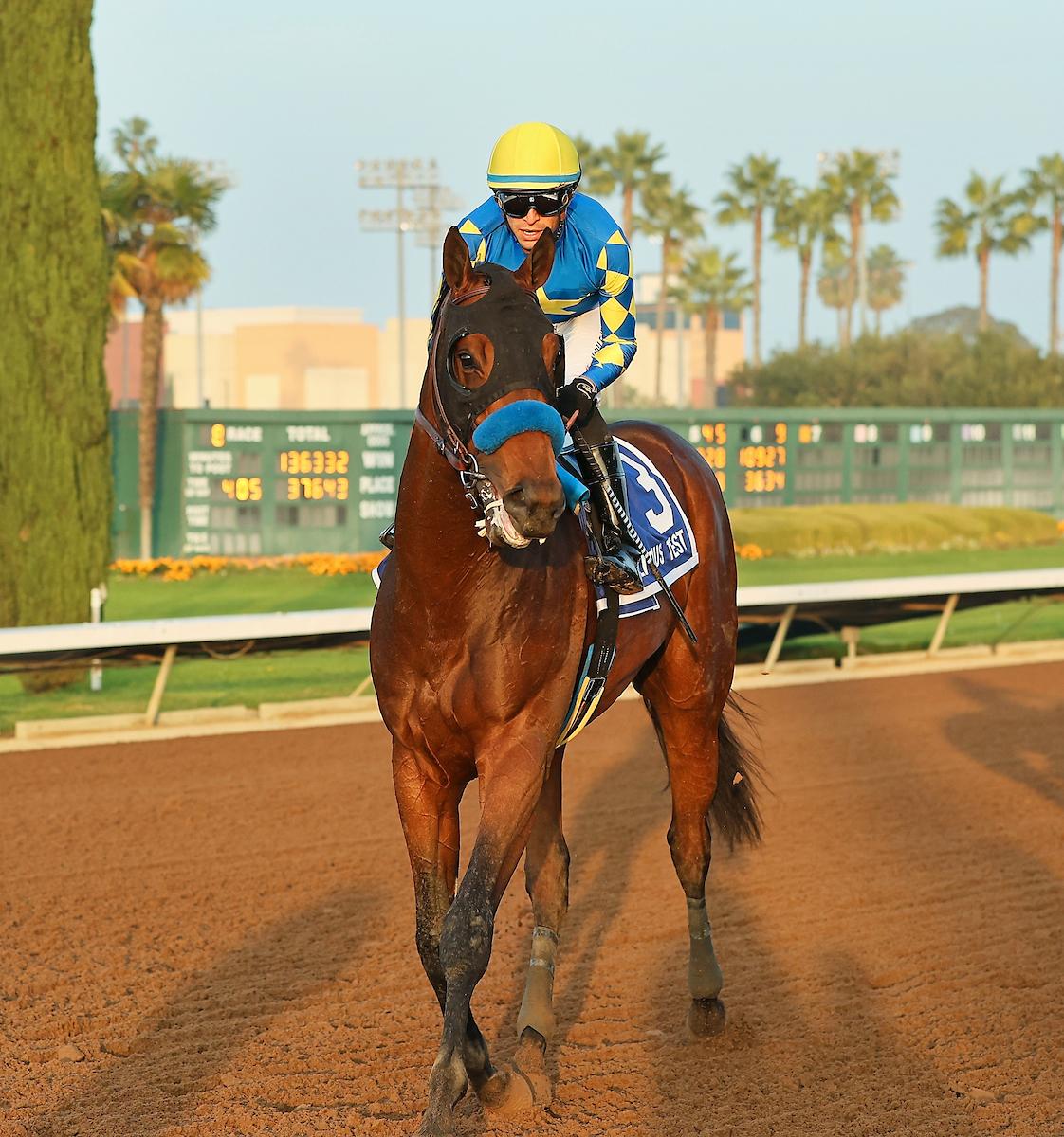 Litmus Test, Los Alamitos Futurity, Kentucky Derby, Bob Baffert, America's Best Racing, horse racing, ABR
