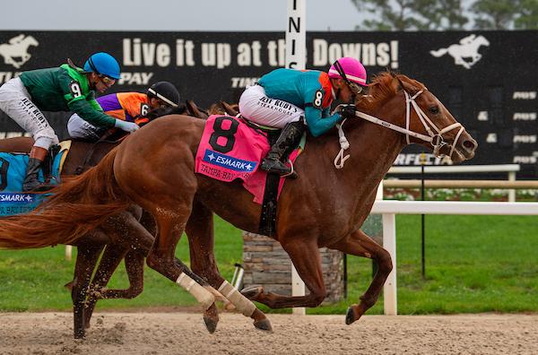 The Puma, Haskell Stakes, Monmouth Park, horse racing, America's Best Racing, ABR