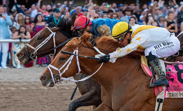 The Puma, Florida Derby, Commandment, Gulfstream Park, America's Best Racing, Triple Crown, Kentucky Derby, horse racing, ABR