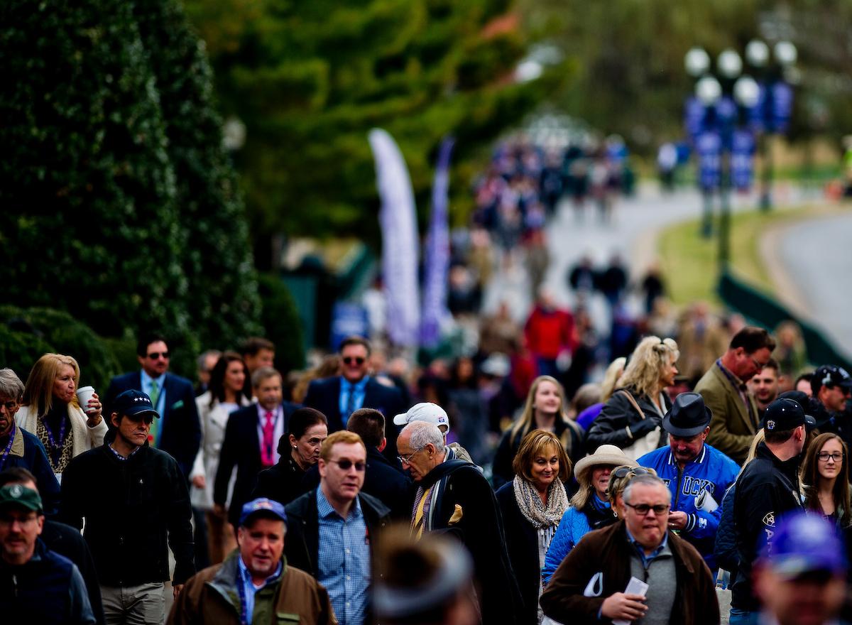 Keeneland, Breeders' Cup, horse racing, America's Best Racing, ABR Keeneland, Breeders' Cup, horse racing, America's Best Racing, ABR