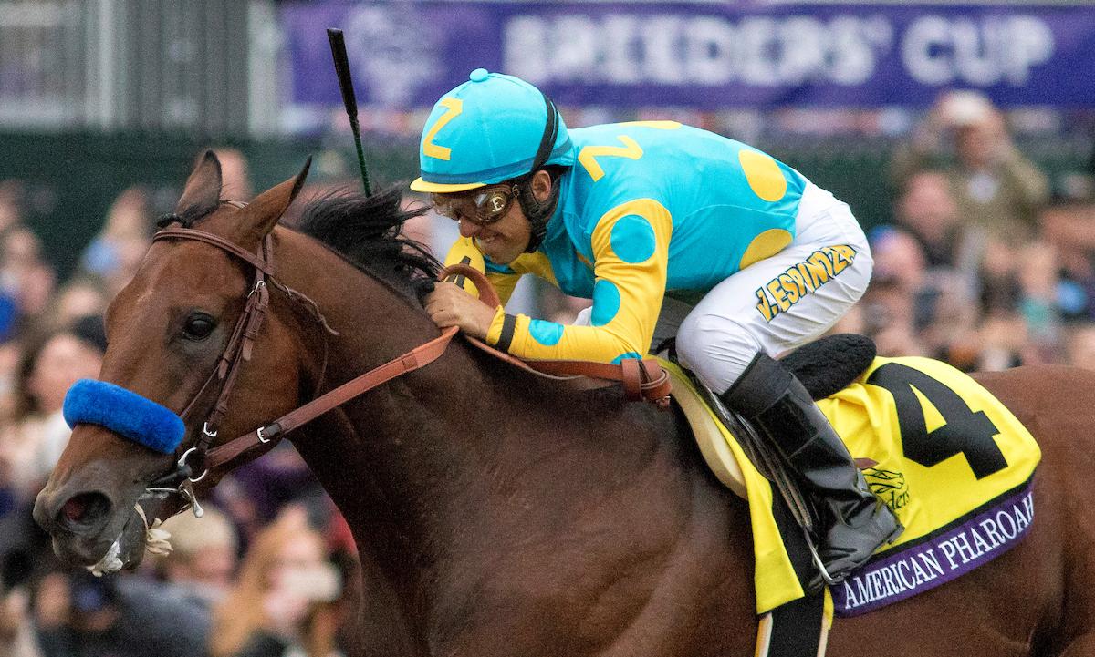 American Pharoah, Keeneland, Breeders' Cup Classic, horse racing, America's Best Racing, ABR American Pharoah, Keeneland, Breeders' Cup Classic, horse racing, America's Best Racing, ABR