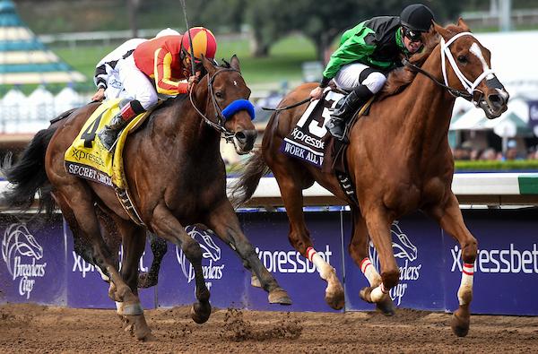Work All Week, Breeders' Cup Sprint, Del Mar, America's Best Racing, horse racing, ABR