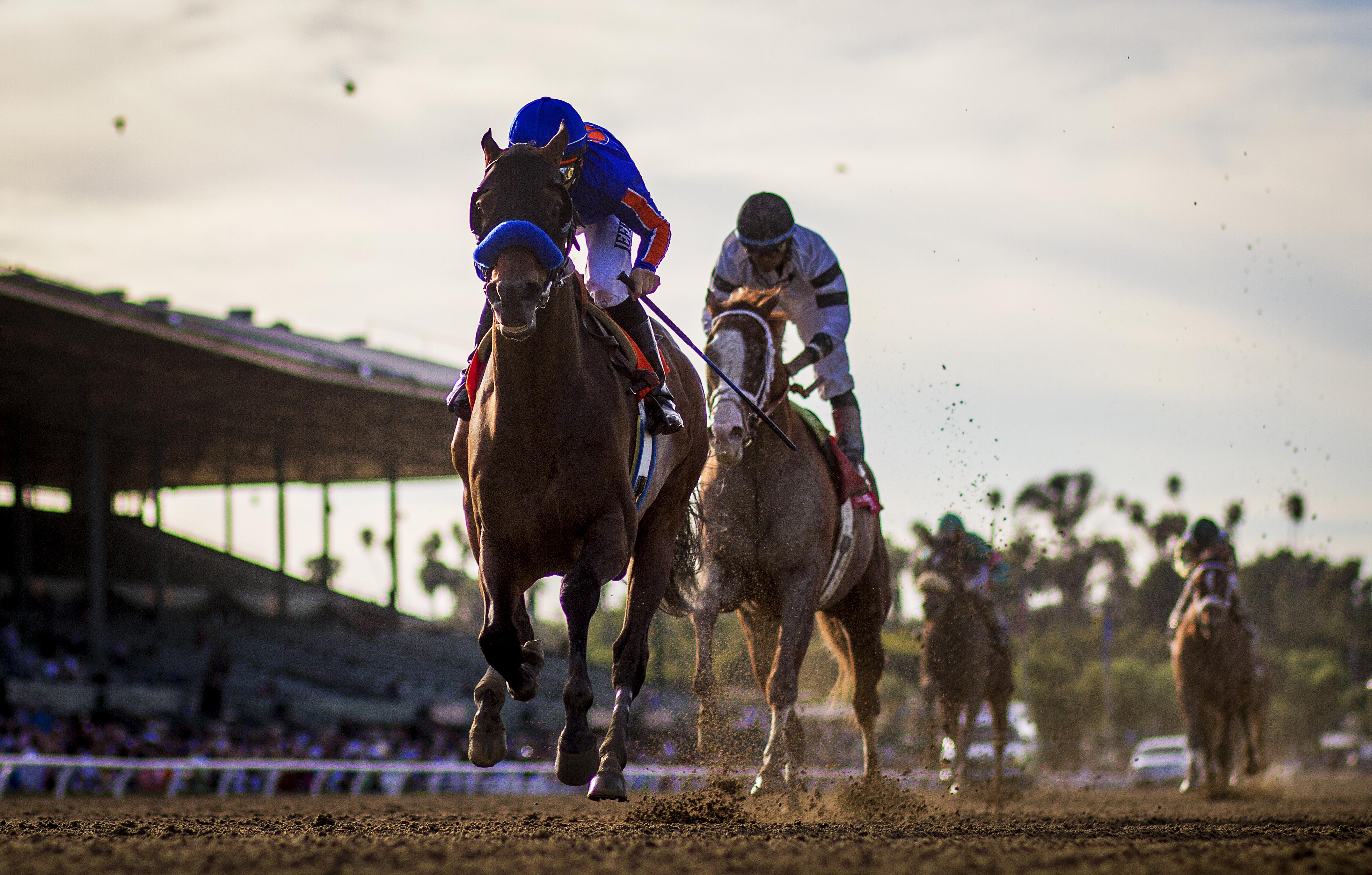 Game On Dude, Will Take Charge, 2014 Santa Anita Handicap, Mike Smith, Eclipse Sportswire Game On Dude, Will Take Charge, 2014 Santa Anita Handicap, Mike Smith, Eclipse Sportswire