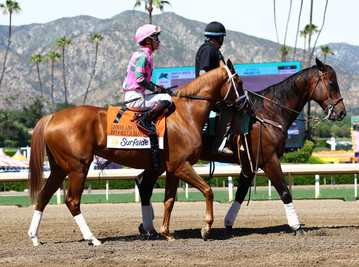 Brooklyn Blonde, Kentucky Oaks, Churchill Downs, horse racing, America's Best Racing, ABR