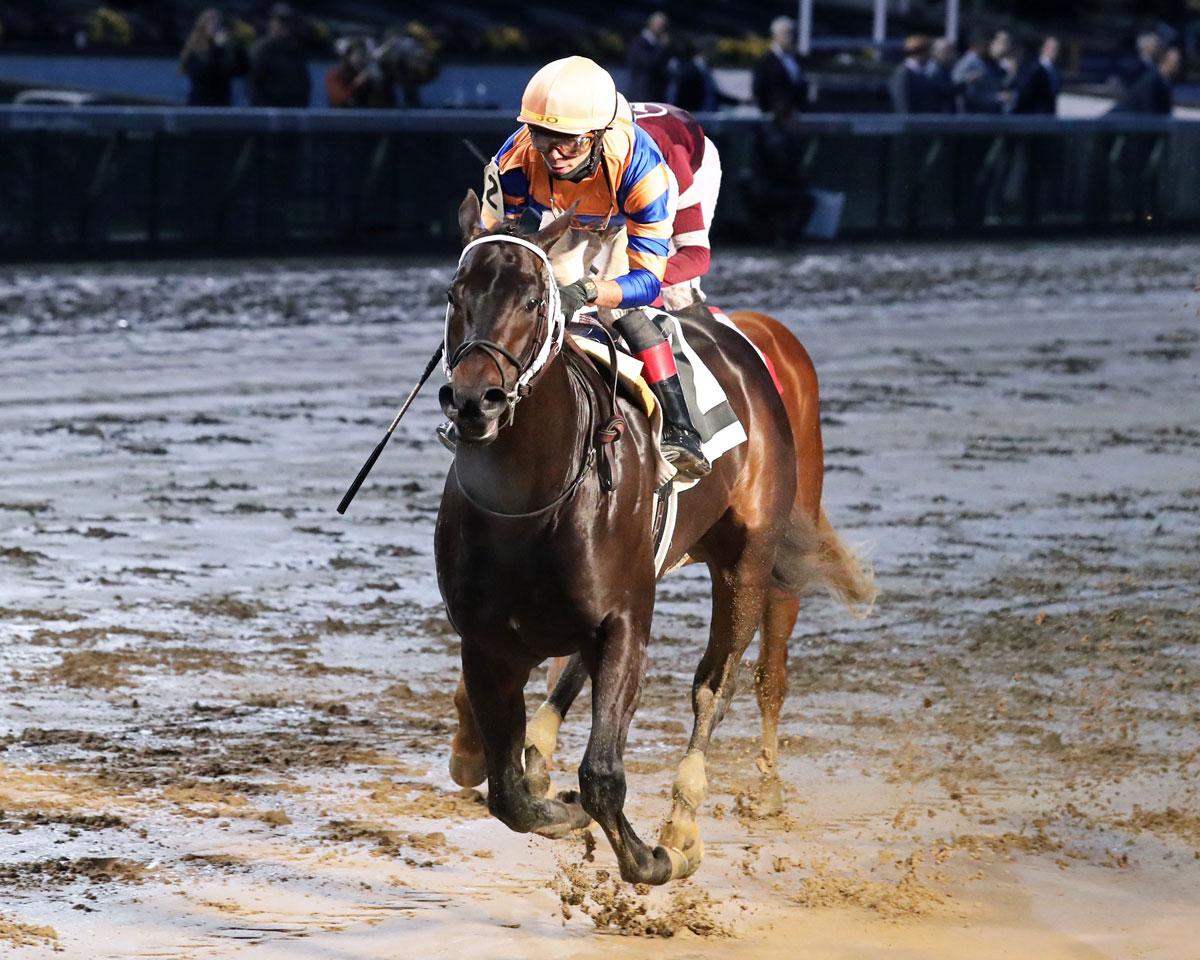 Chip Honcho, Triple Crown, Kentucky Derby, Churchill Downs, horse racing, America's Best Racing, ABR