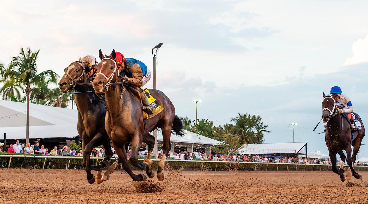Commandment, Triple Crown, Kentucky Derby, Churchill Downs, horse racing, America's Best Racing, ABR