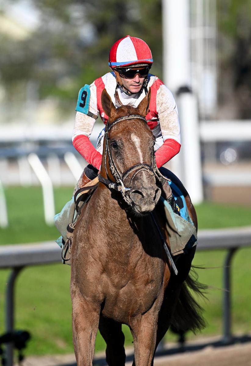 Emerging Market, Belmont Stakes, Saratoga Race Course, horse racing, America's Best Racing, ABR