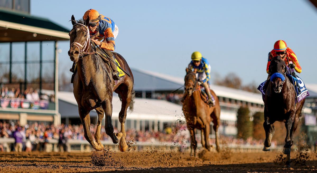 Forte Curlin Florida Derby Kentucky Derby Triple Crown Curlin Florida Derby