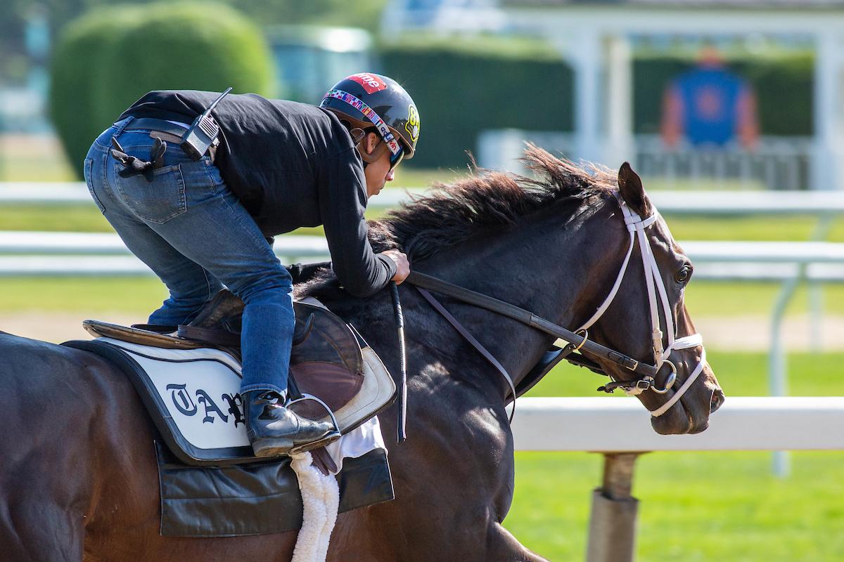 Champion Forte Florida Derby 2023 Belmont Stakes Belmont Park Triple Crown 