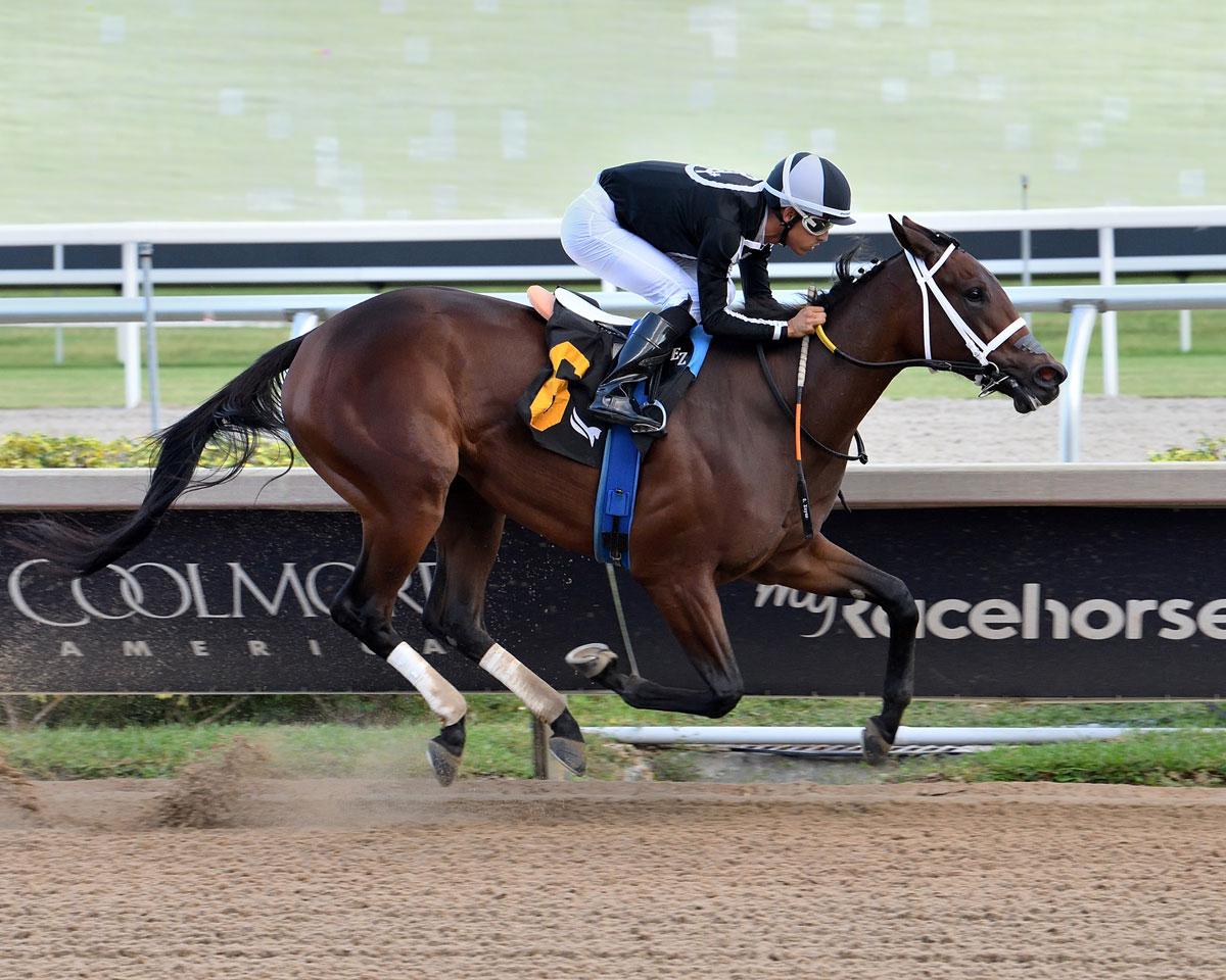 My Miss Mo, Kentucky Oaks, Churchill Downs, horse racing, America's Best Racing, ABR