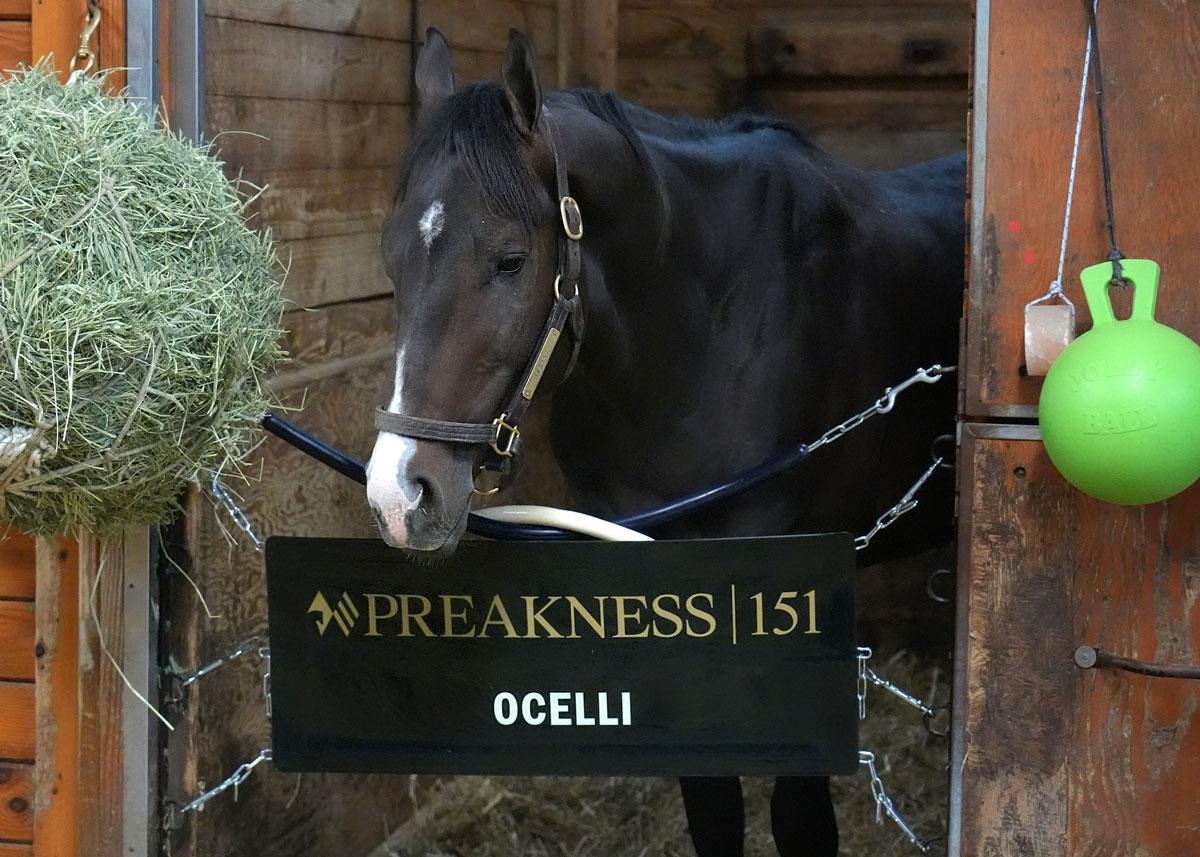 Ocelli, Belmont Stakes, Saratoga Race Course, horse racing, America's Best Racing, ABR Ocelli, Belmont Stakes, Saratoga Race Course, horse racing, America's Best Racing, ABR